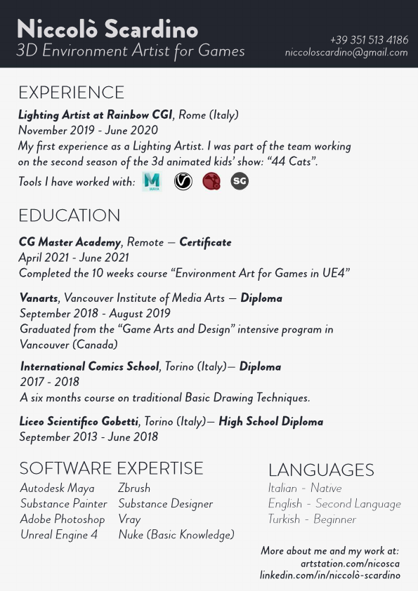 Niccolo-Scardino-Curriculum_compressed.pdf