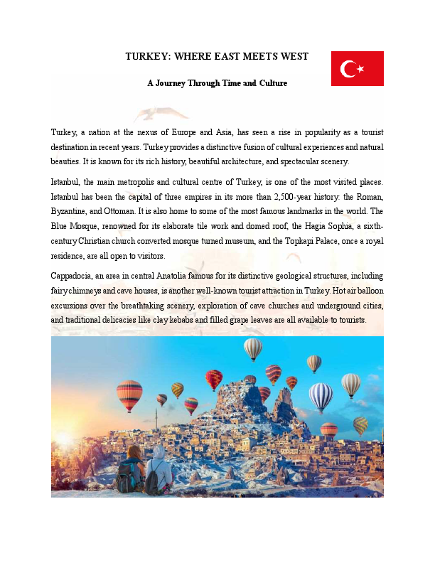 turkey.pdf