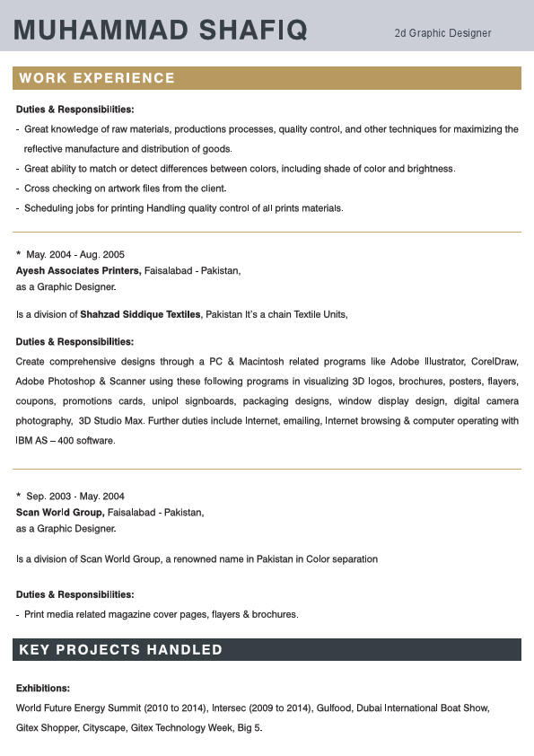 graphic designer.pdf