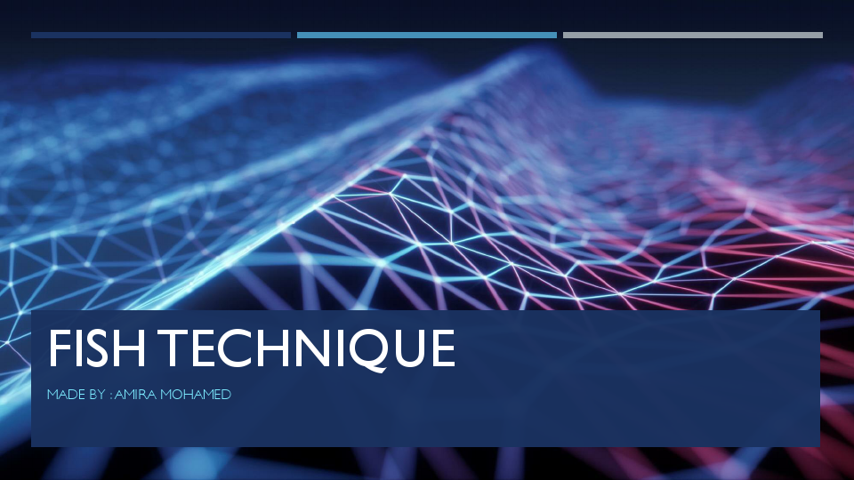 Fish tECHNIQUE.pdf