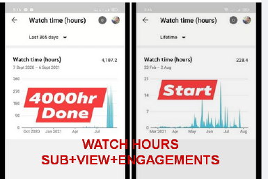 I ll complete youtube channel monetization requirements.pdf