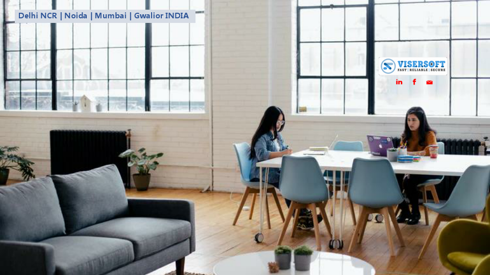 VISERSOFT COMPANY PROFILE-.pdf