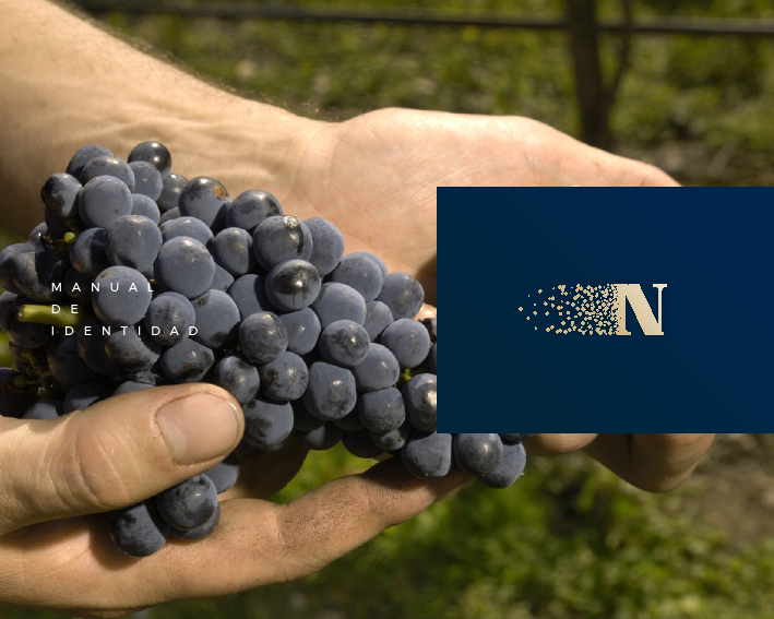 NEBULA Brandbook.pdf