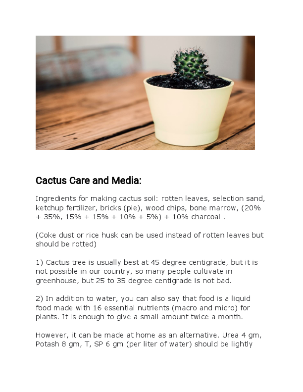 Cactus Care and Media 3.pdf