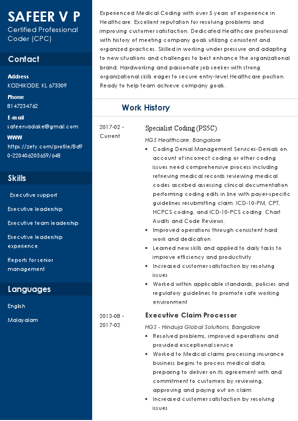 SAFEER_VP_Resume (1) (2).pdf