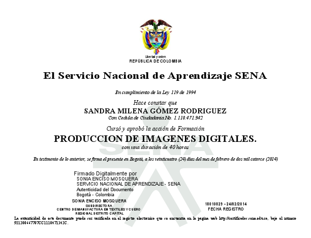 921200667707produccion imagenes digitales.pdf
