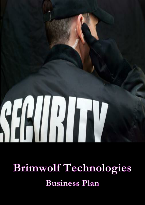 Brimwolf Technologies Business Plan.pdf