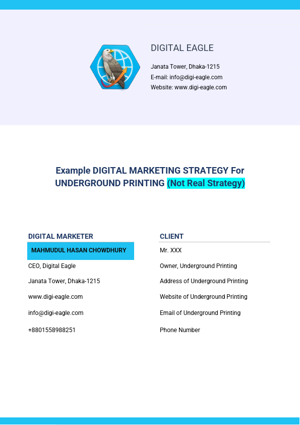 Example Digital Marketing Strategy.pdf