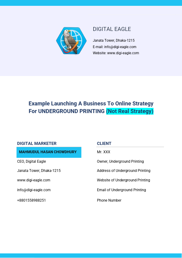 Example Launch Business To Online Strategy.pdf