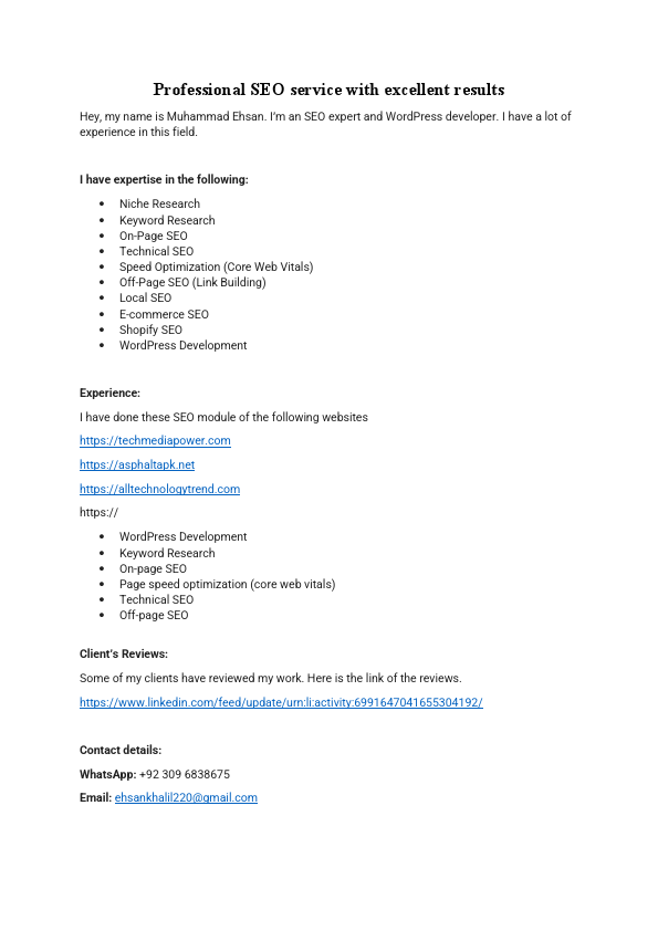 Professional SEO service with excellent results.pdf