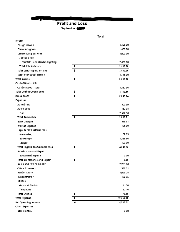 Sample Profit & Loss Report.pdf