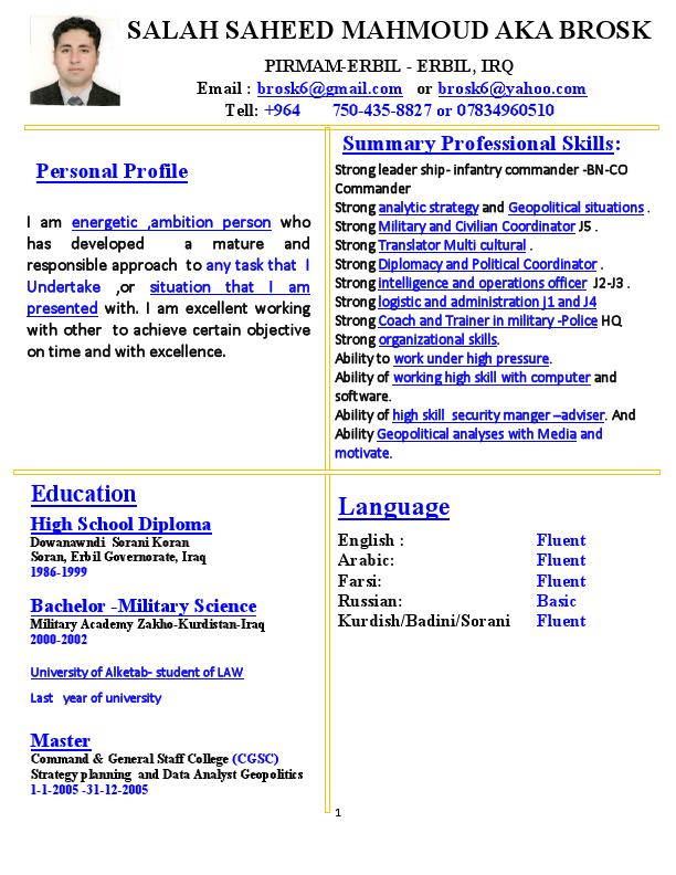 CV-Updates-Salah Saheed Mahoud -AKA Brosk.pdf