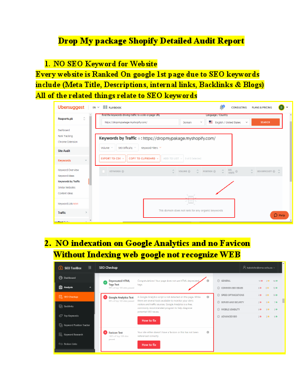 Drop Mypakage Shopify Detailed Audit Report.pdf