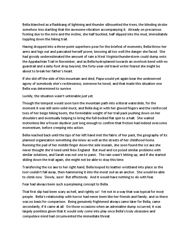 3rd person POV writing sample.pdf