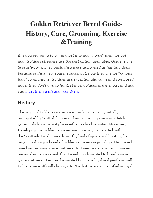 Golden Retriever Breed Guide.pdf