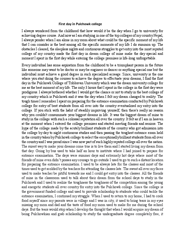 Essay sample of mine.pdf