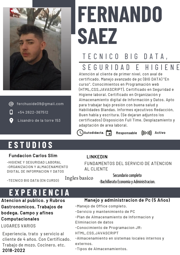 Curriculum Vitae-FernandoSaez.pdf