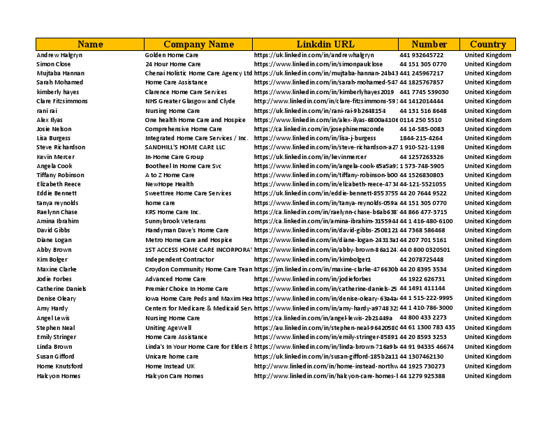 Home Care Lead in UK.pdf