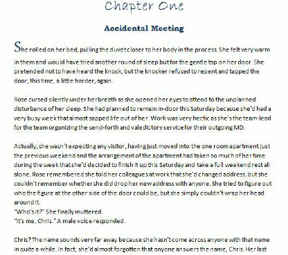 Accidental lovers 1.pdf