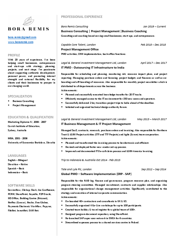 Bora Remis_CV 2022.pdf