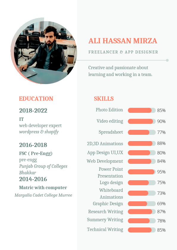 ALI HASSAN MIRZA (2).pdf