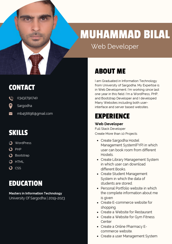 Muhammad Bilal Web Developer Resume.pdf