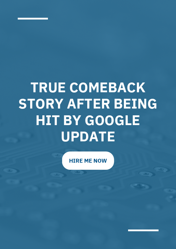 True Comeback Story After Being Hit by Google Update SEO Success Case Study.pdf