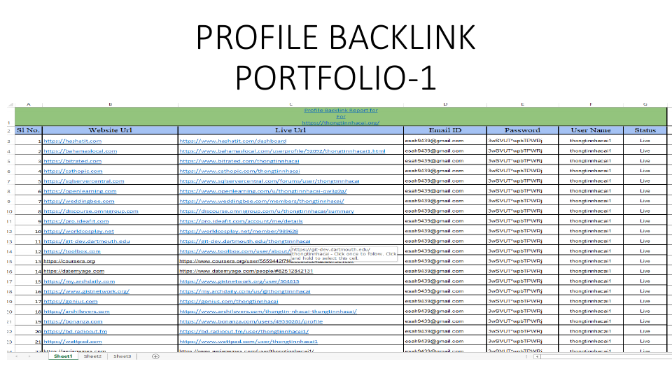 PROFILE BACKLINKPORTFOLIO.pdf
