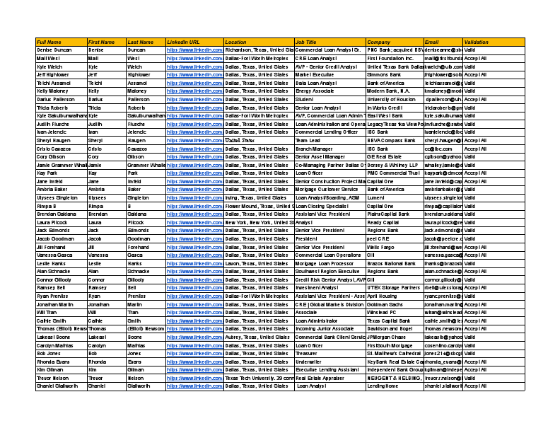 100 Valid Leads - Sheet1.pdf