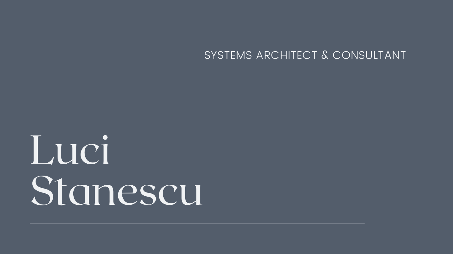 Luci Stanescu Brochure.pdf