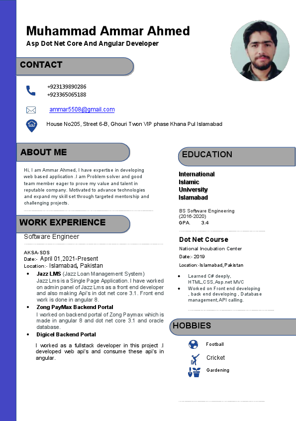 Ammar-DotNet-Angular-Developer.pdf