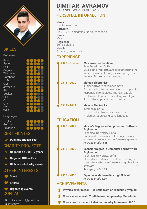 DimitarAvramov-CV.pdf