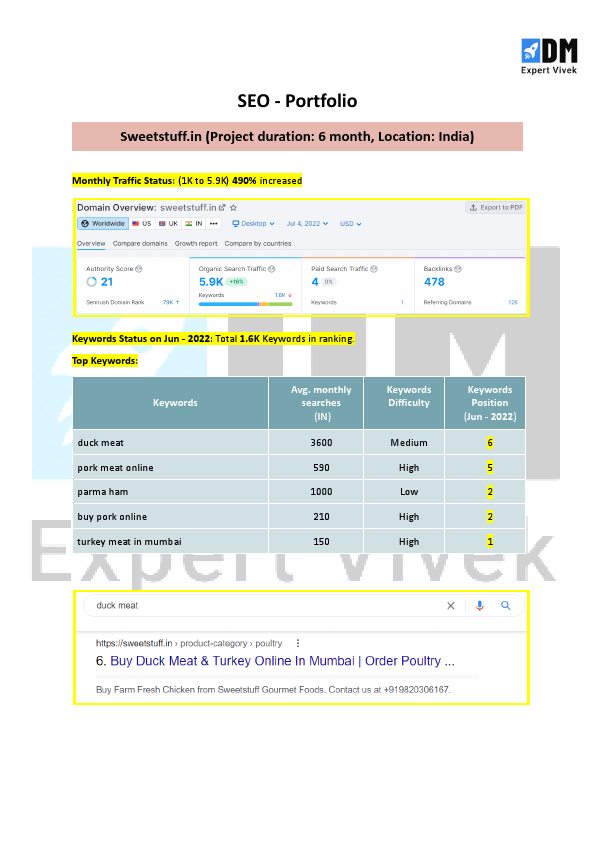SEO - Portfolio.docx.pdf