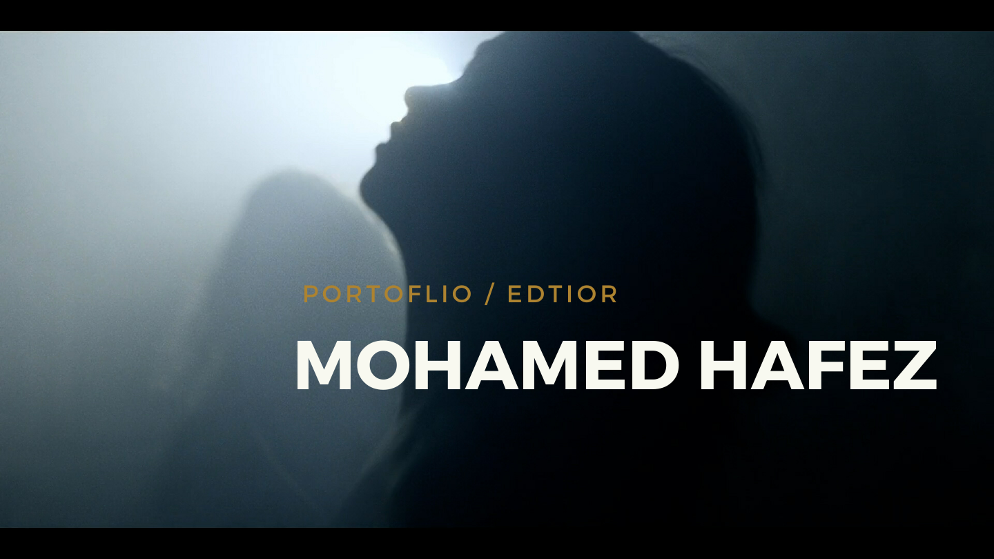 mohamed hafez cv.pdf