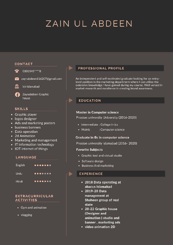 My professional resume.pdf
