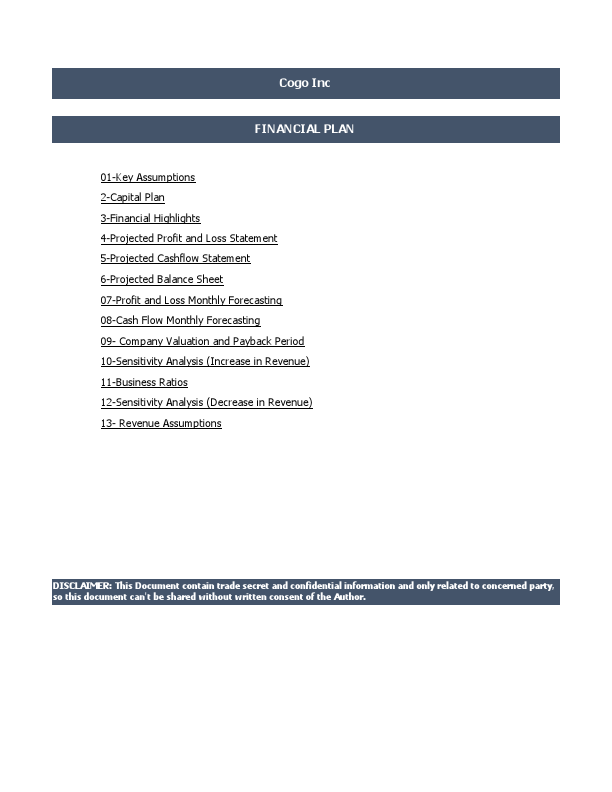 Cogo Inc Financial Model.pdf