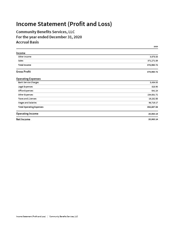 Community_Benefits_Services__LLC_-_Income_Statement__Profit_and_Loss_.pdf