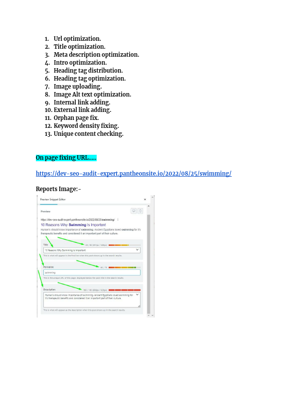Action plan for websites on-page SEO Issues.pdf
