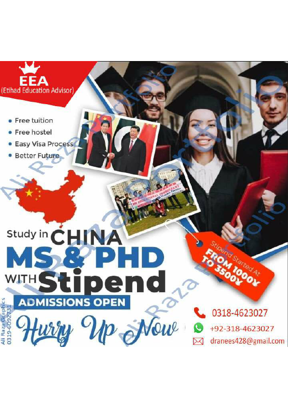 anees basharat portfoloi 2.pdf