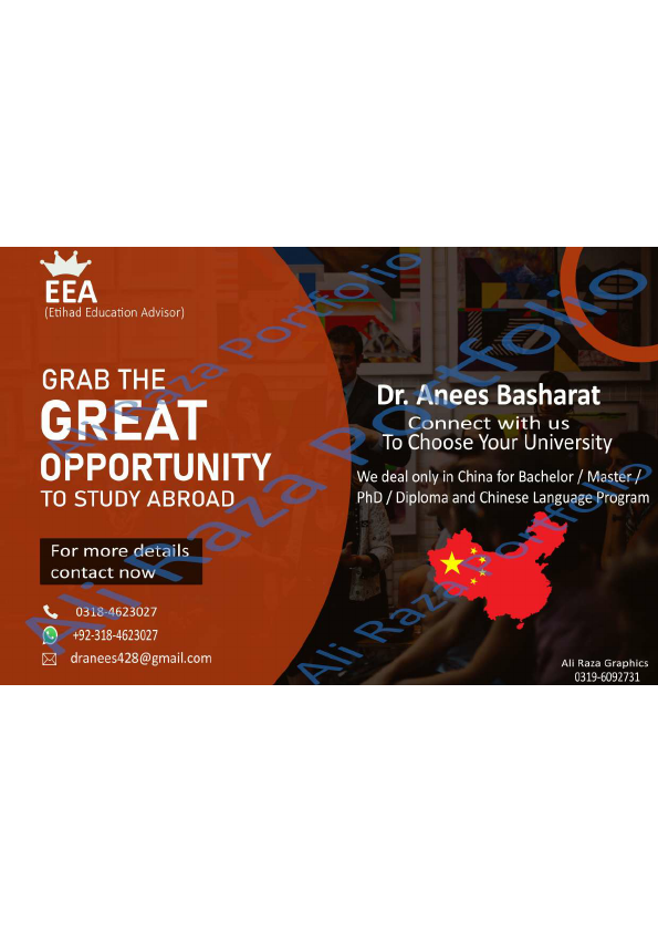 anees basharat portfoloi 3.pdf