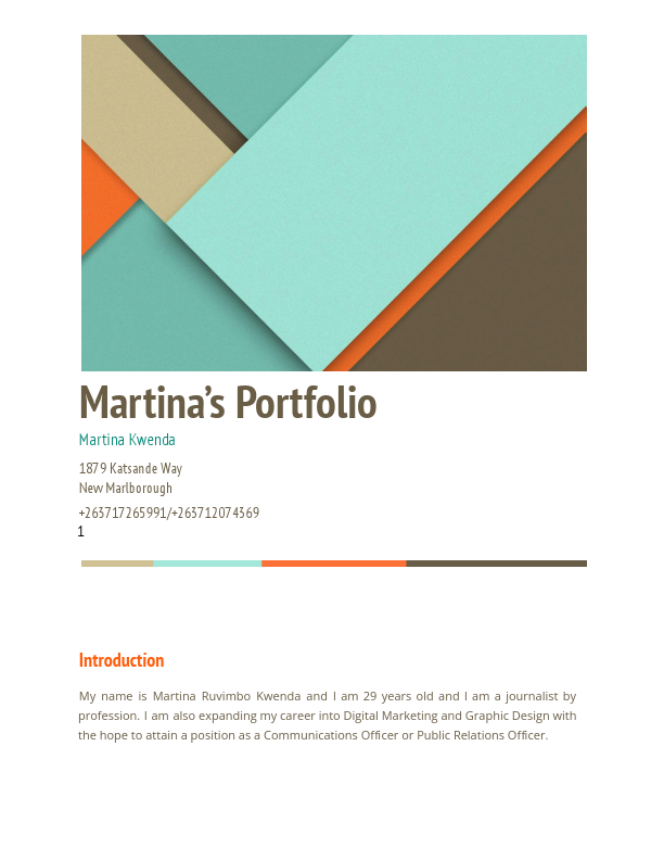 Portfolio M Kwenda.pdf