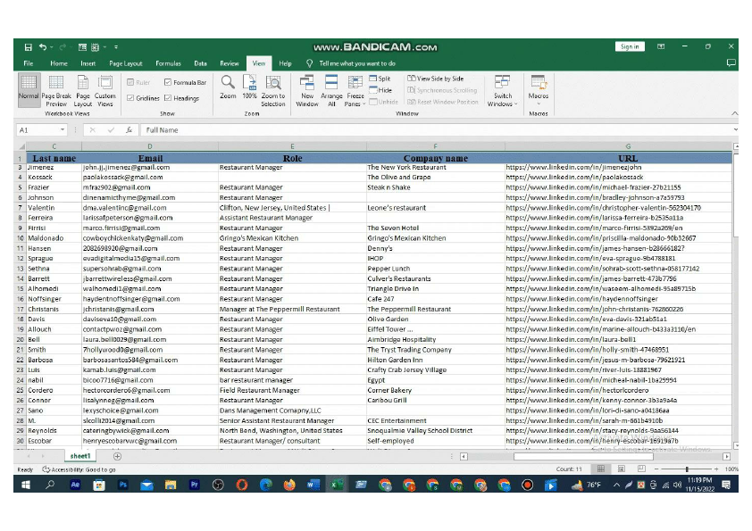 b2b lead generation, linkedin leads, web research and data entry (2).pdf