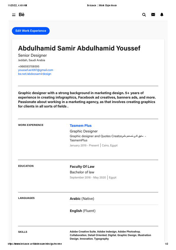 Behance __ Work Experience.pdf