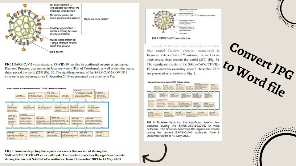Convert JPG to Word file.pdf