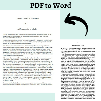 PDF to Word.pdf