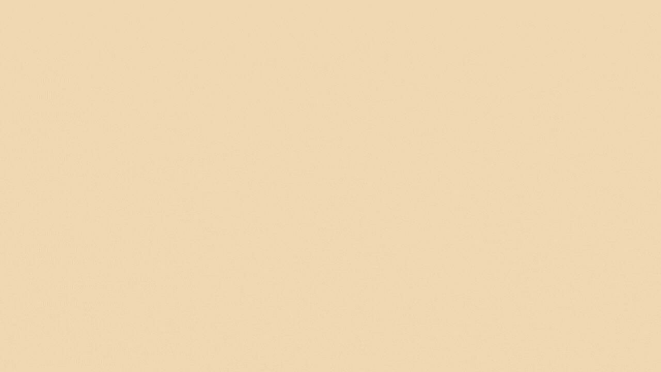 presentation  (animated ).pdf