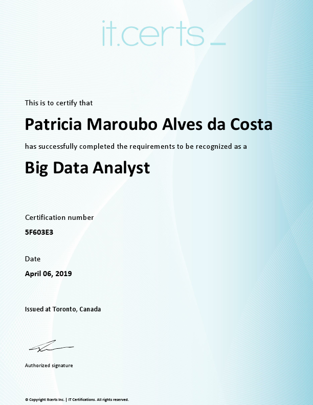 Big Data Analyst Patricia Maroubo Alves da Costa Patricia Maroubo Alves da Costa.pdf