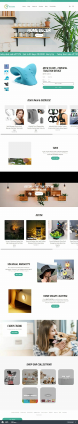 shopify website design 8+.pdf