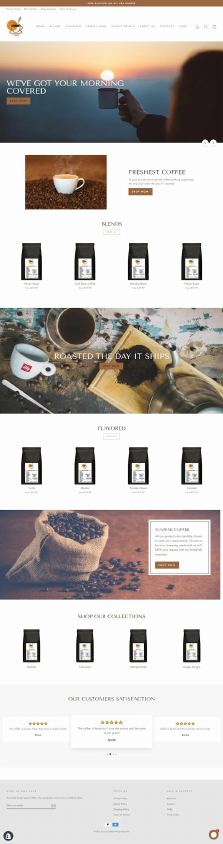 shopify website design 17+.pdf