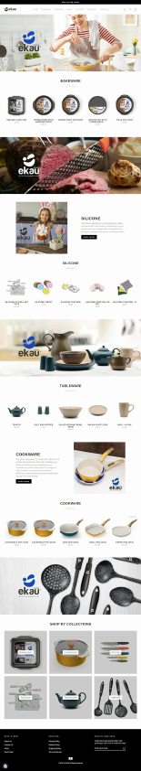shopify website design 9+.pdf